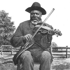 black fiddler